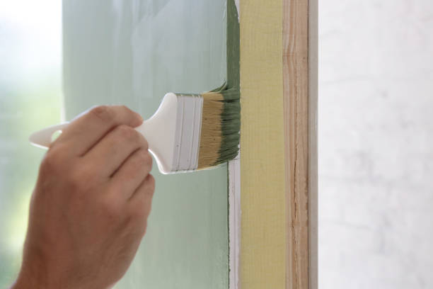 Best Forensic Mold Investigation  in Springfield, IL