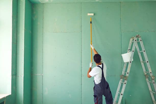 Best Mold Removal for HVAC Installations  in Springfield, IL