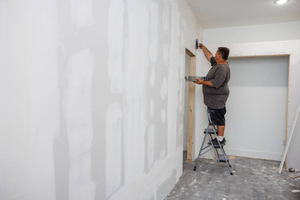 Best Crawl Space Mold Remediation  in Springfield, IL