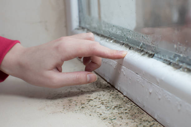 Best Indoor Air Quality Assessment  in Springfield, IL
