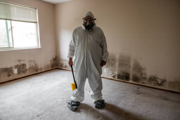 Best HVAC Mold Inspection and Cleaning  in Springfield, IL