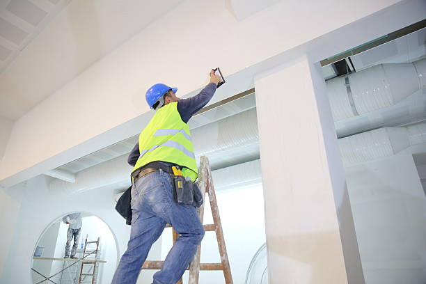 Best Residential Mold Inspection & Testing  in Springfield, IL