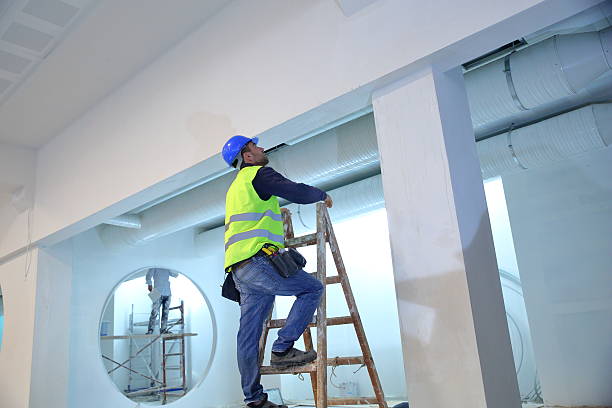 Best Emergency Mold Remediation  in Springfield, IL